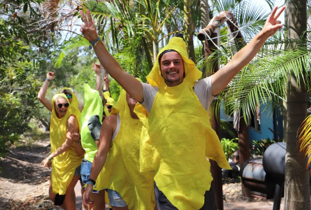 Cool Bananas Backpackers