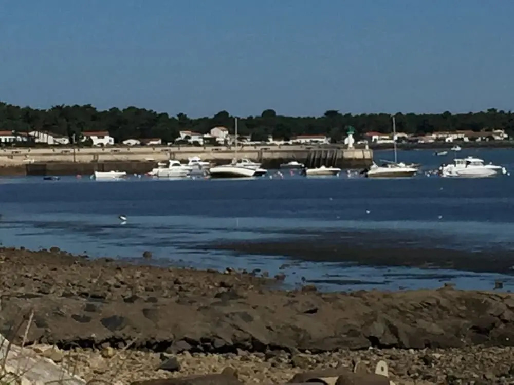 Le Clos des Pins