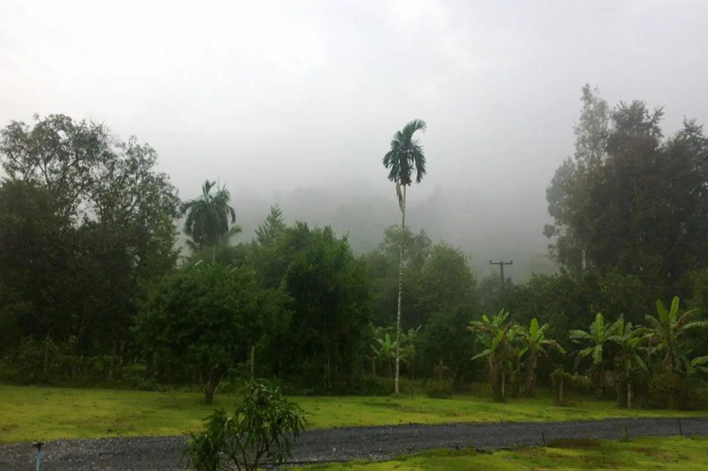 Baan Pennee