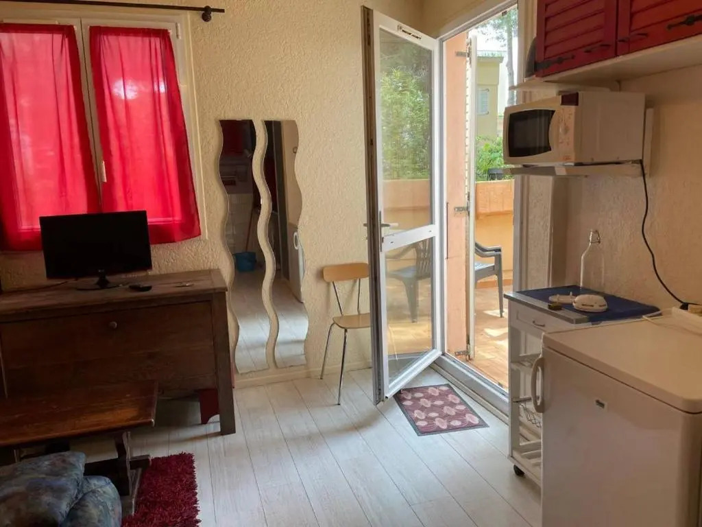 Appartement Argelès-sur-Mer, 1 pièce, 2 personnes - FR-1-225-449
