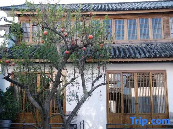 Dali Quiet Silent Designer Courtyard
