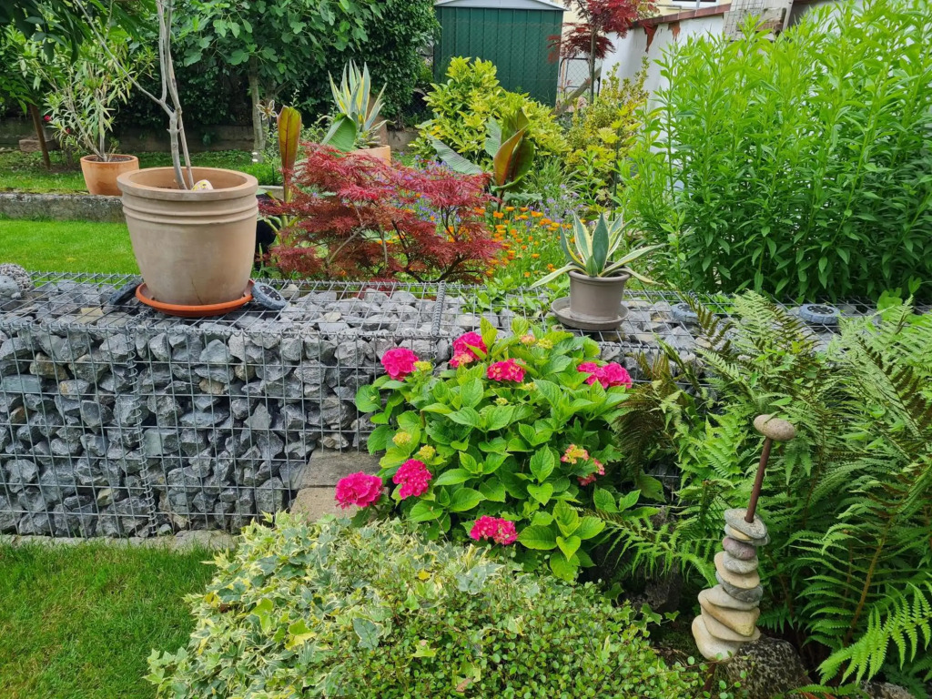 Haus Schneider