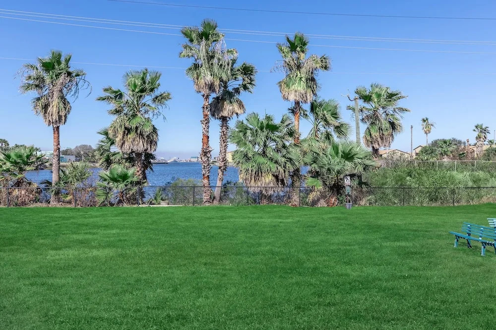 Live on the Bay - Walk To Moody Gardens - Private Fishing Pier & Boat Slips