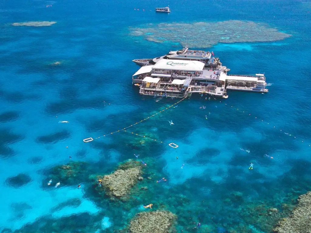 Tranquility Chill at Palm Cove