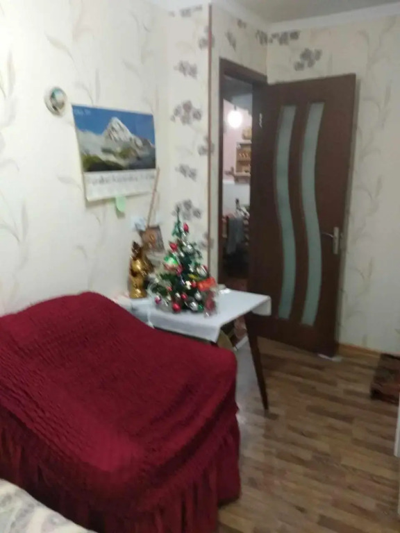 Guest House Dodo