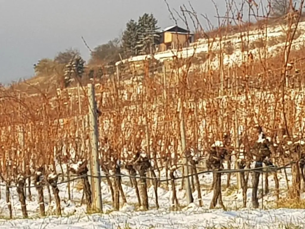 Blick über Krems mit Terrasse