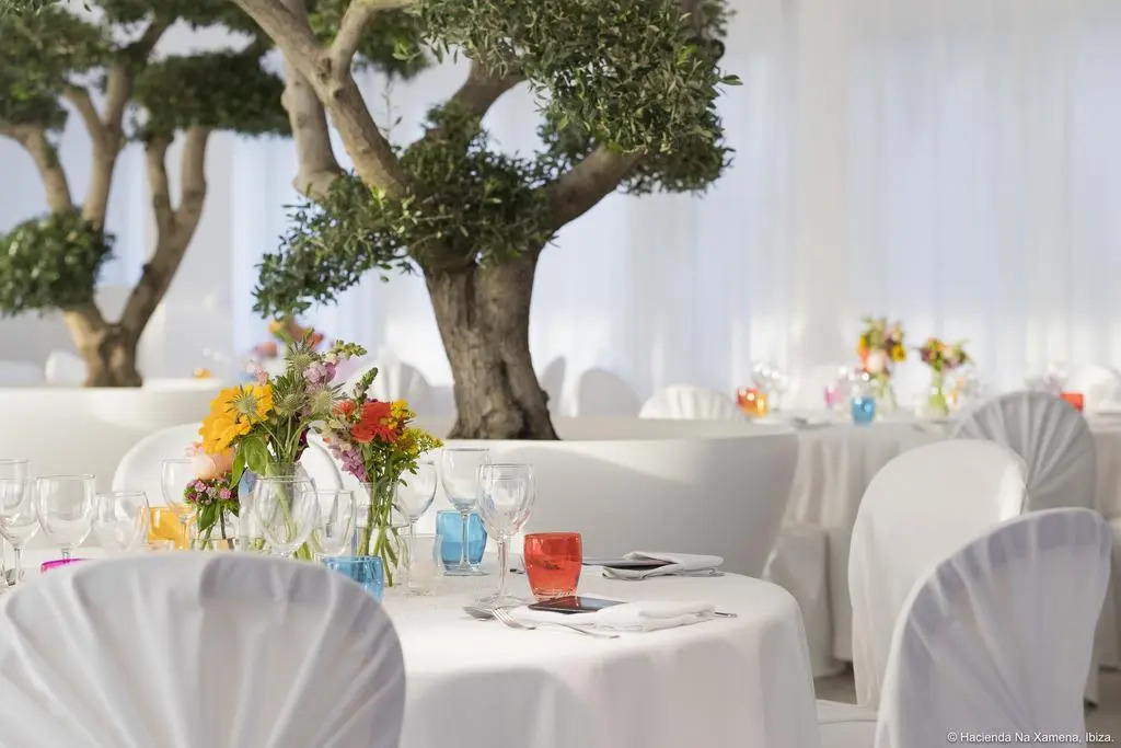 Отель Hacienda Na Xamena, Ibiza