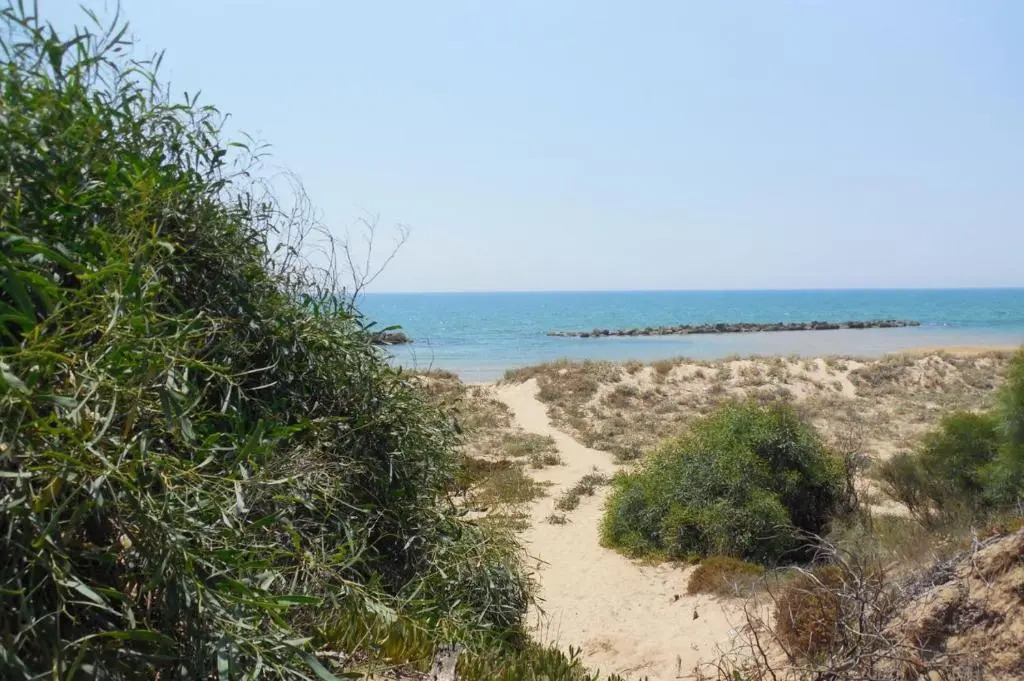 Giardino della Nonna Bice - locazioni turistiche