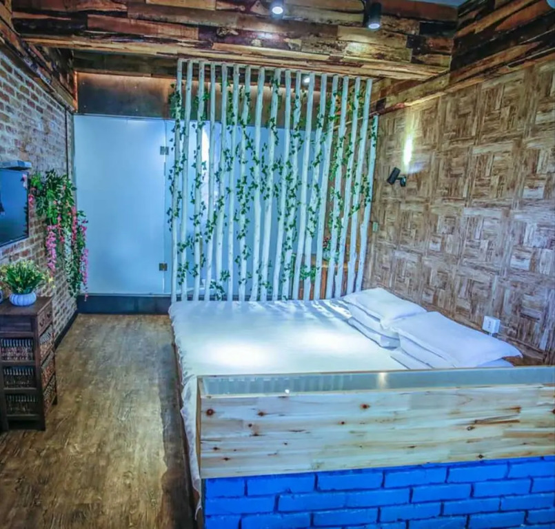 Zerg Backpackers Youth Hostel