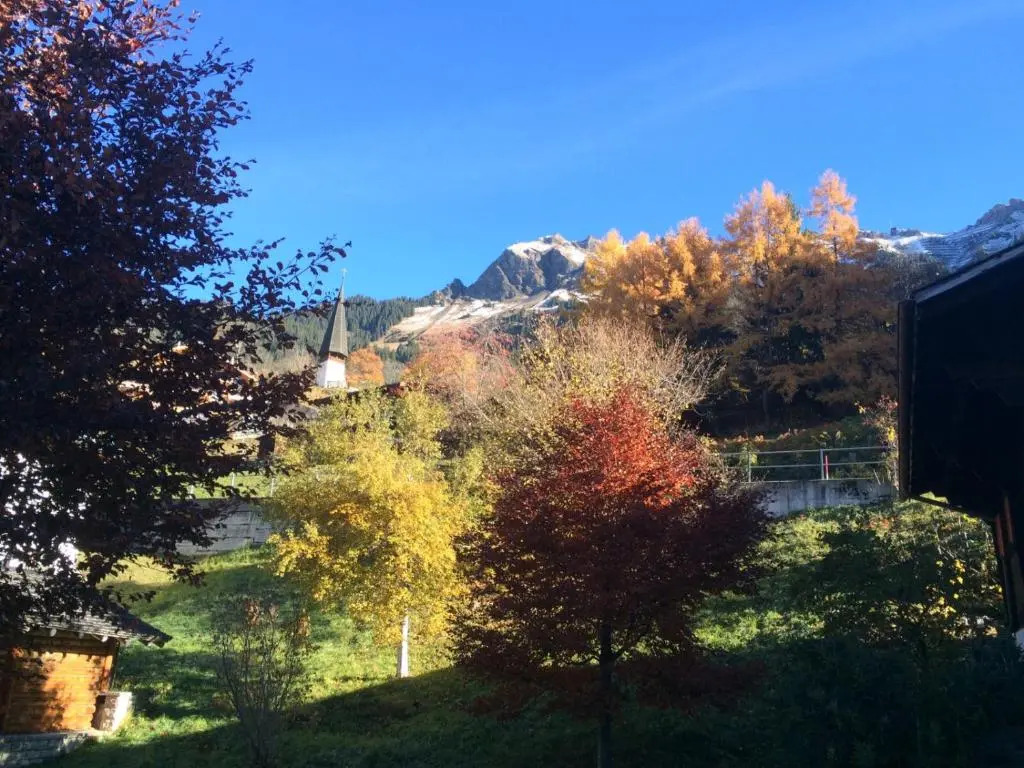 Chalet Protea