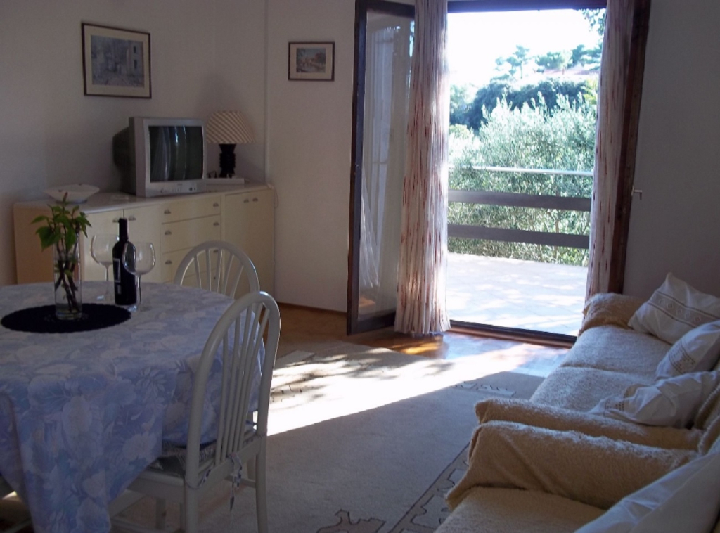 Apartment Branka
