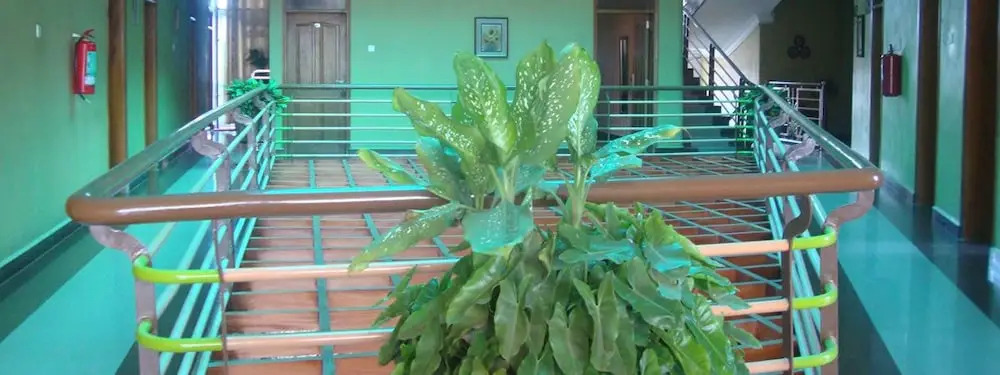 Pearl Highway Hotel