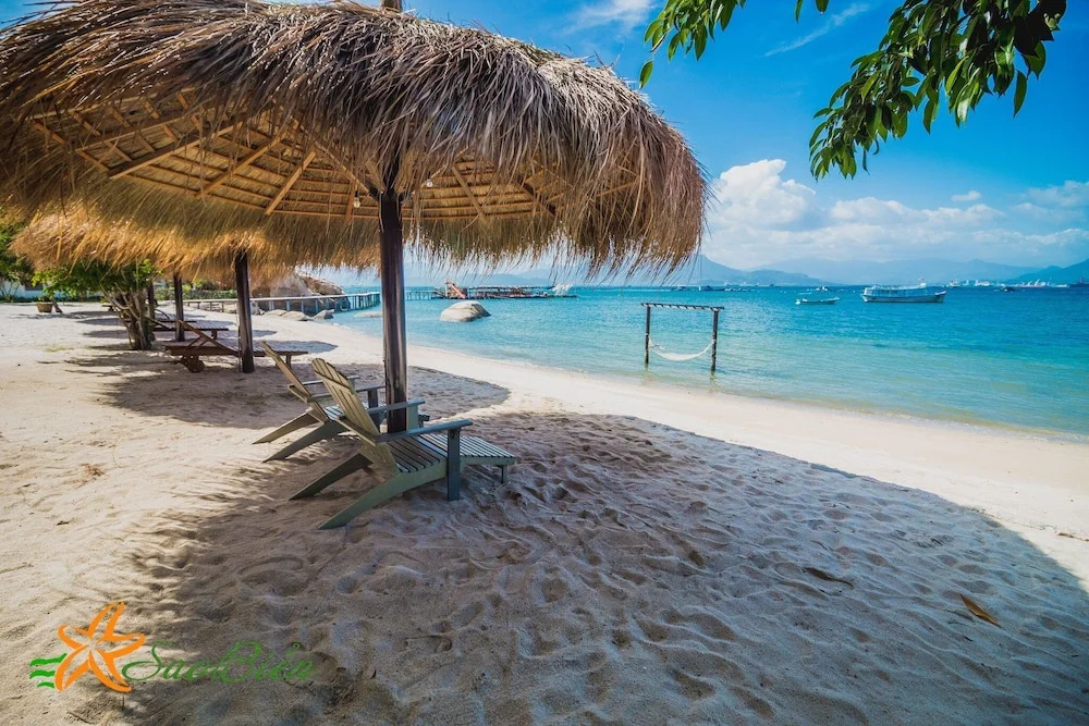 Sao Biển Cam Ranh - Starfish Cam Ranh