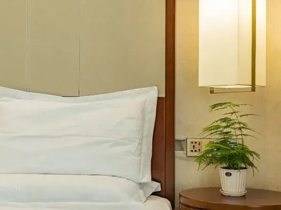 Vias International Hotel (Panzhihua Wanda Plaza)
