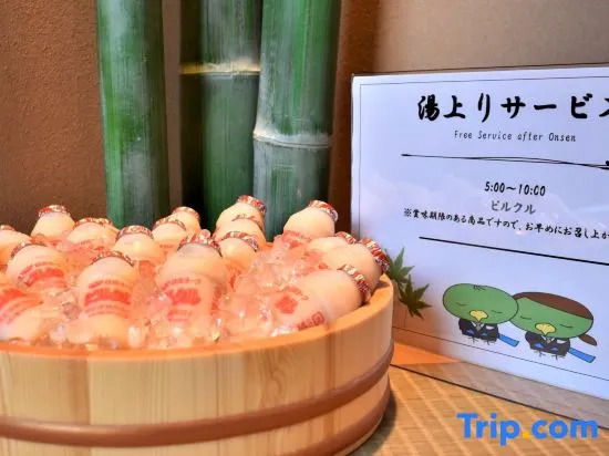 Dormy Inn Express Toyohashi