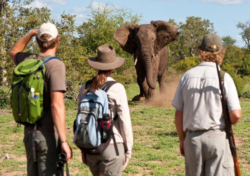 Makumu Private Game Lodge