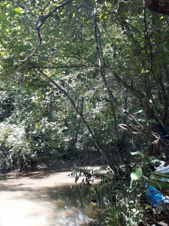 Kirkahvesi Garden - Campsite