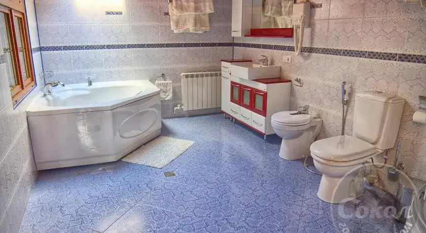 Сокол