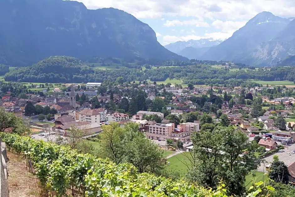 Hotel Le Cedre