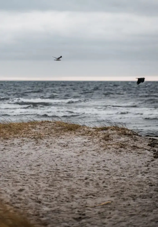 Strandmotellet