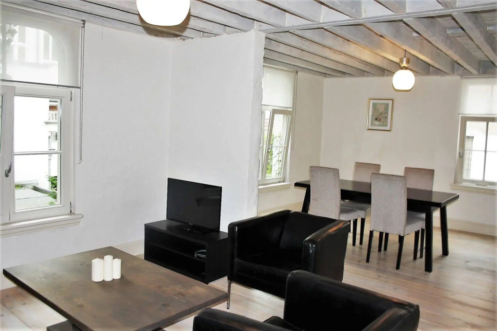 Traditional Modern Apartments