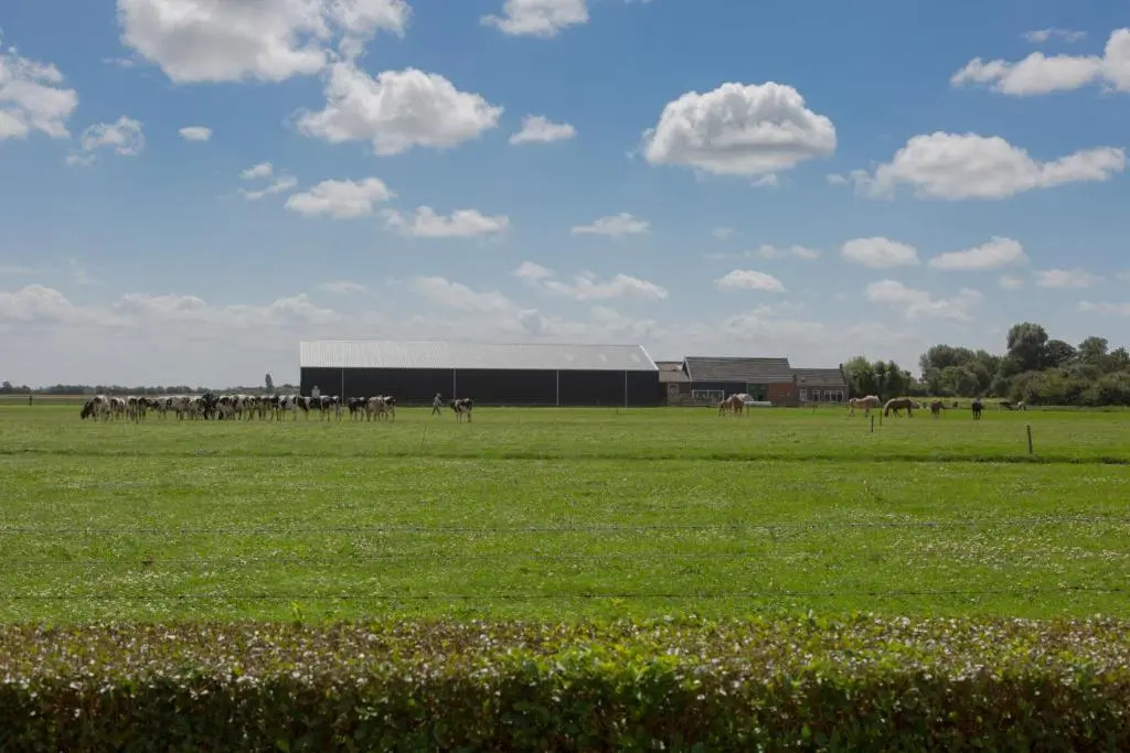 Welcome in - De Grote Geere
