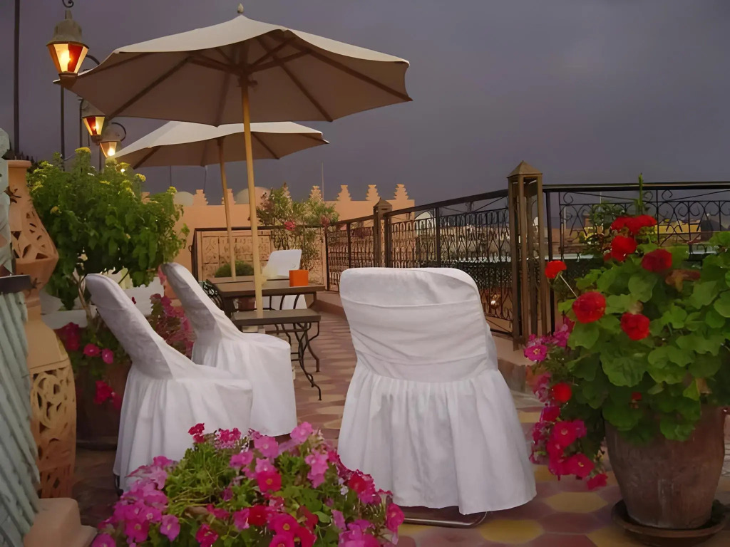 Abelia Riad - 2025 Guest Choice Award
