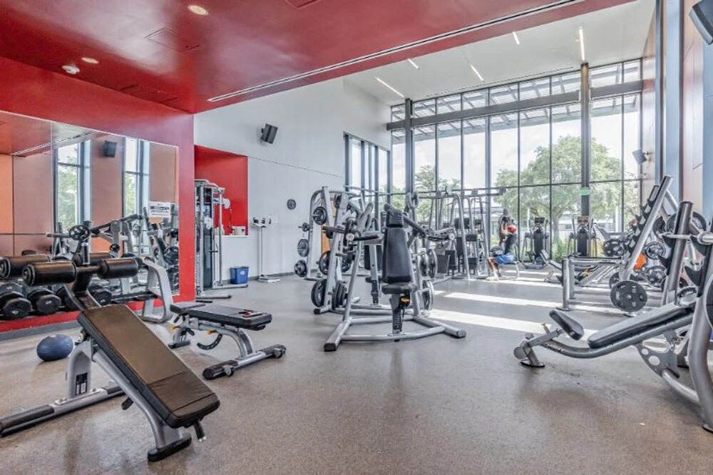 HTX Spacious Apt Parking Near Dtown NRG