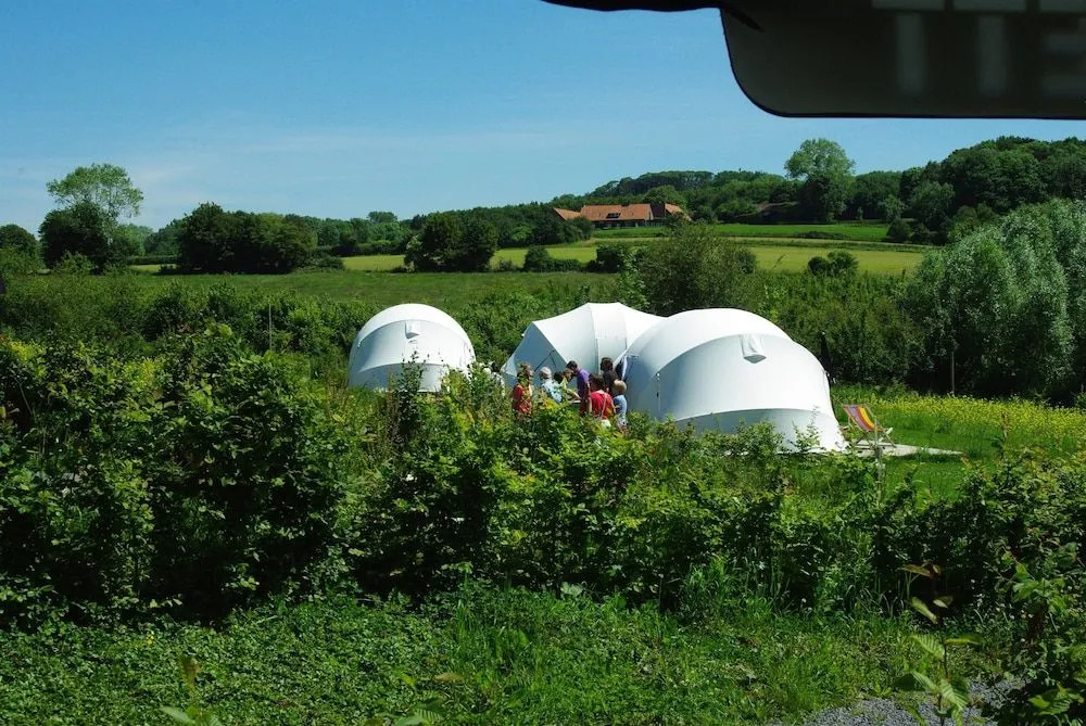 Ecochique