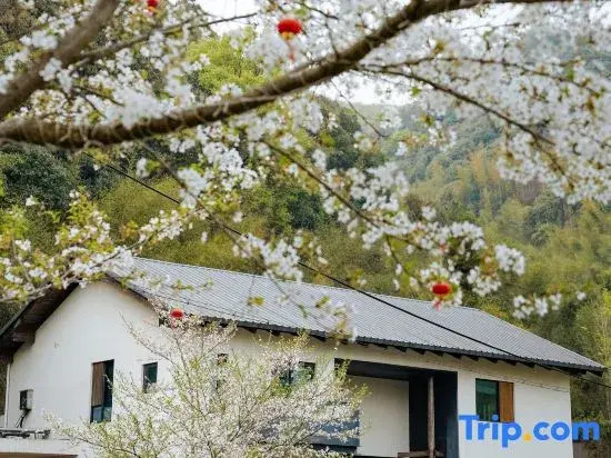Translation: Tingjian · Moganshan | Forest Oxygen Private Hot Spring Resort Homestay