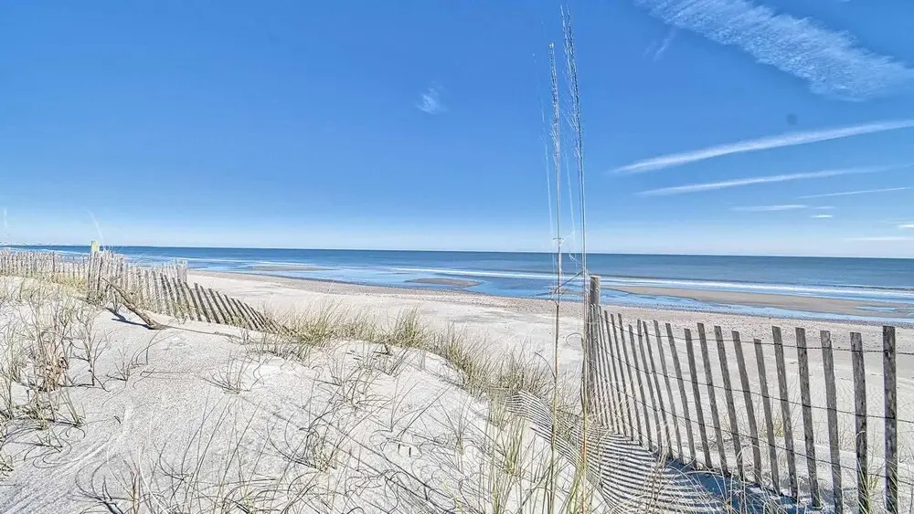 Couldn't Be Better by RedAwning