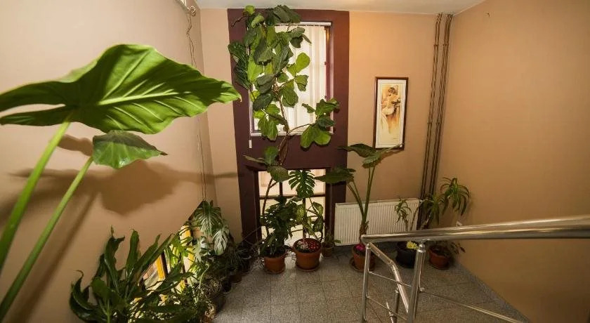 B&B Vila Tamaris