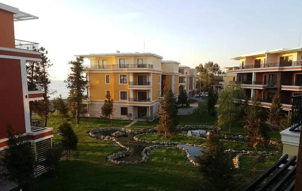 Dreamland Oasis of happiness