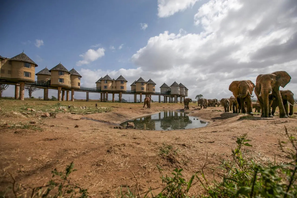 Salt Lick Safari Lodge