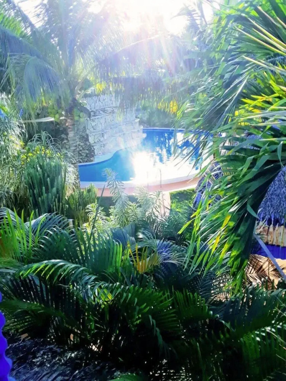 Sosua Adventure  Wellness