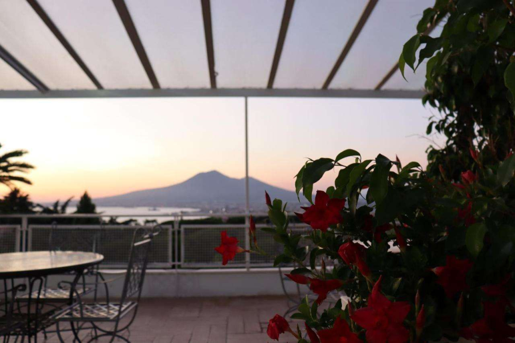 Hotel Paradiso