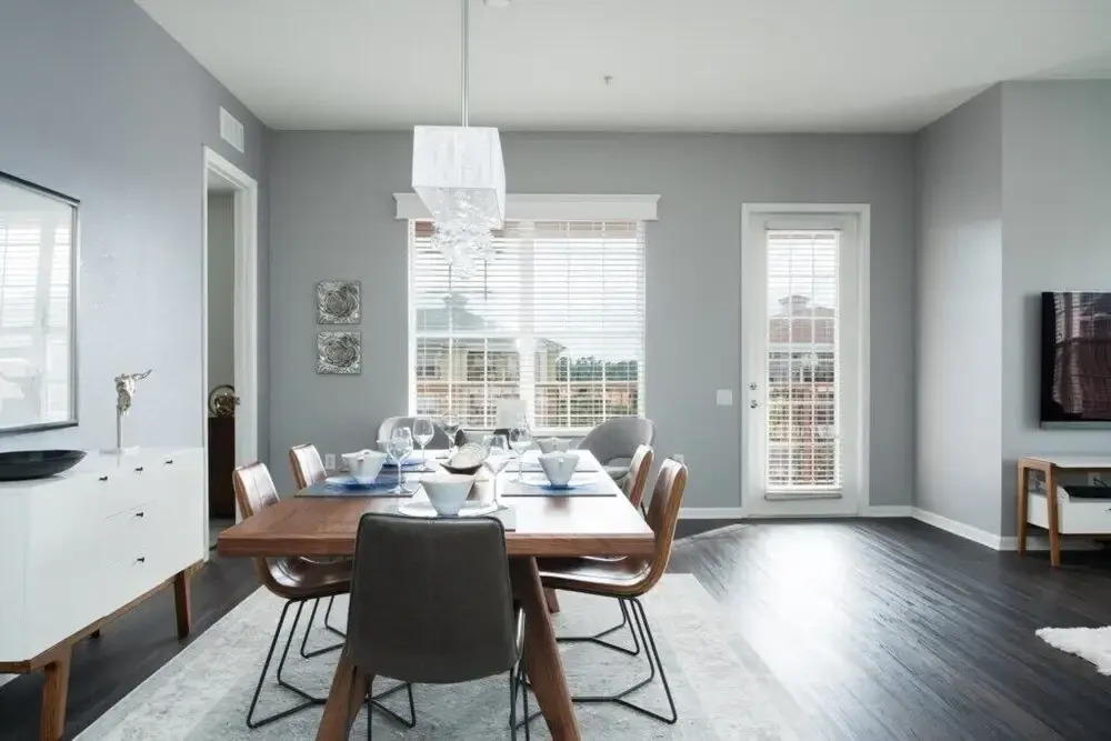Penthouse Vision - All New!