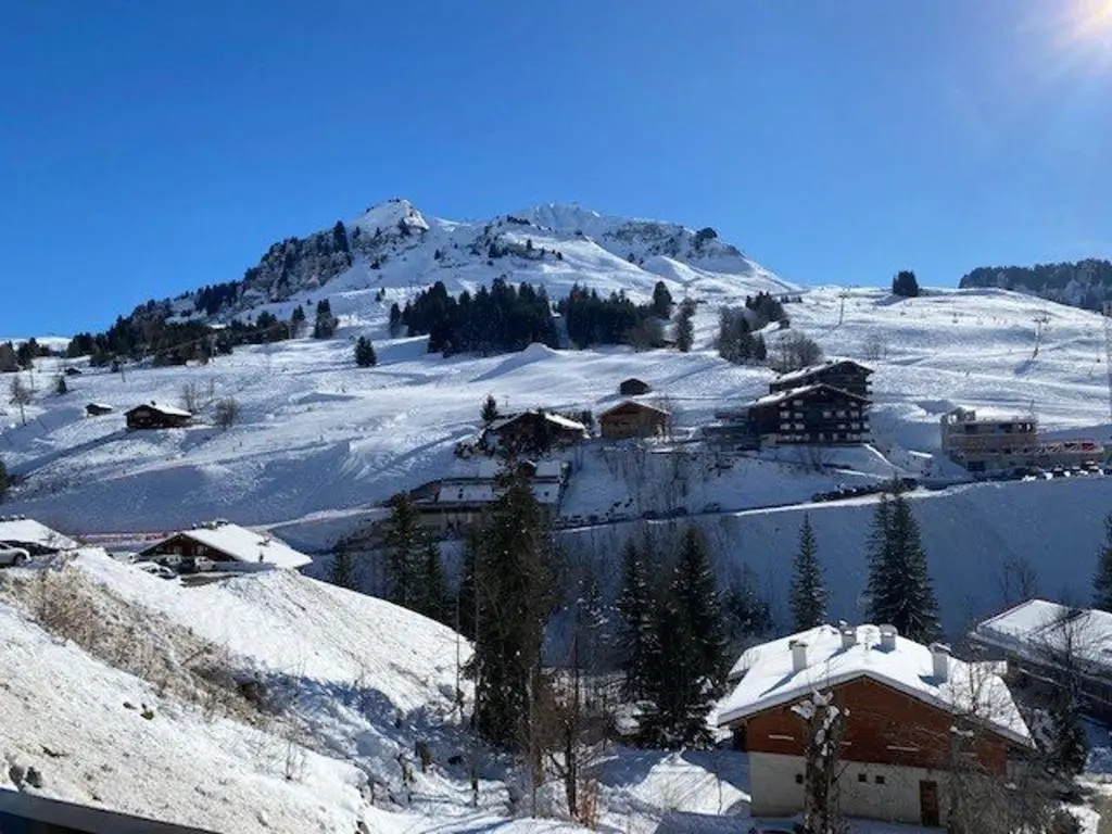 Appartement Le Grand-Bornand, 3 pièces, 6 personnes - FR-1-458-112