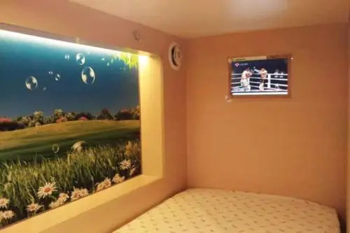The Olive Tree Capsule Hostel