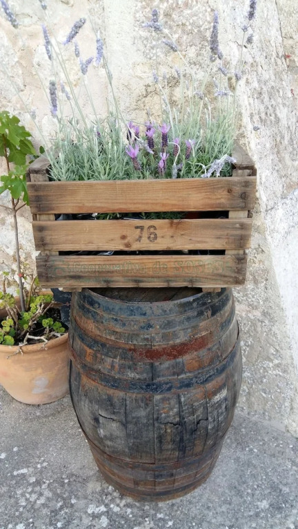SEra Vella