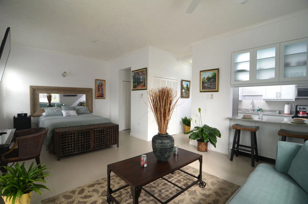 Kingsway New Kingston Guest Apartment II