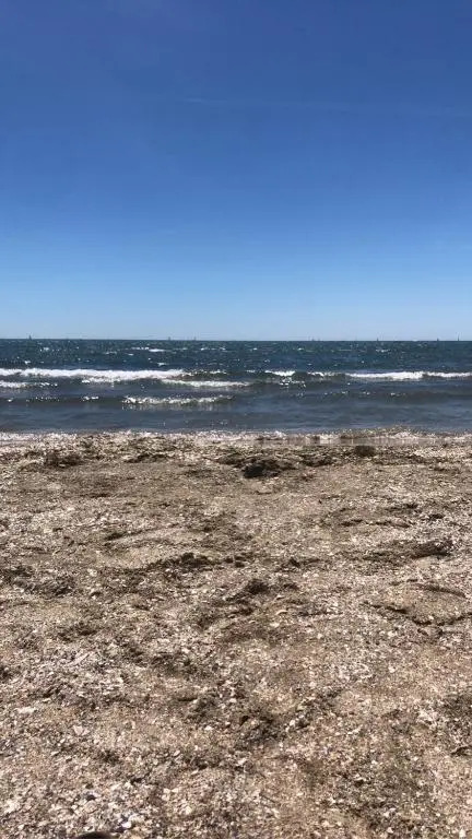Grand studio pour 5 personnes bord de plage