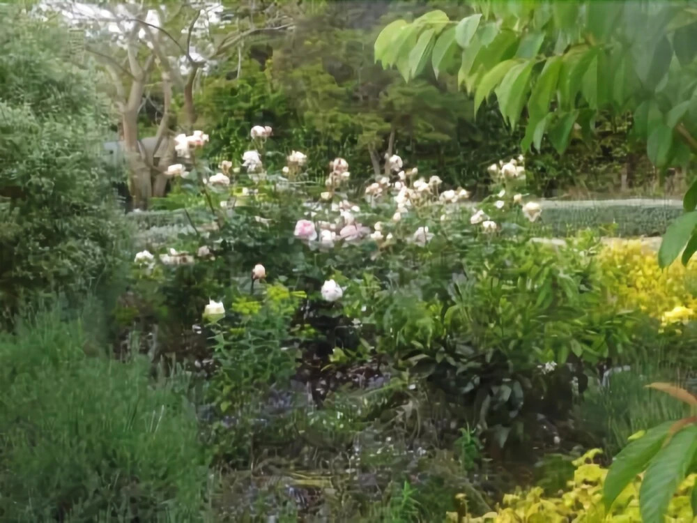 The Courtyard