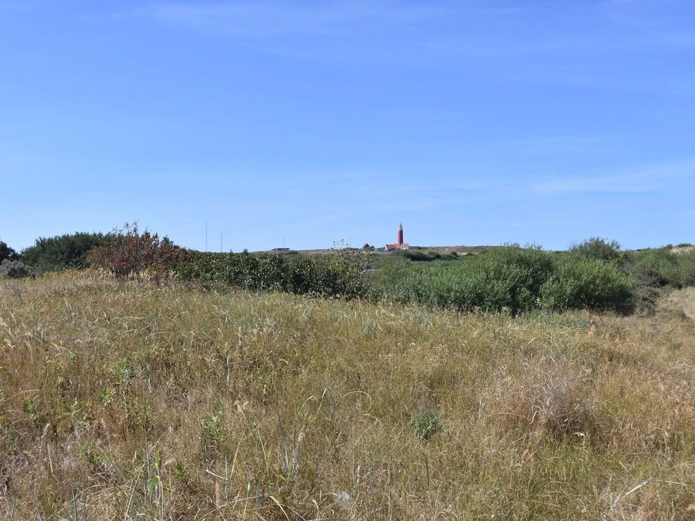 Bungalow in Texel near National Park
