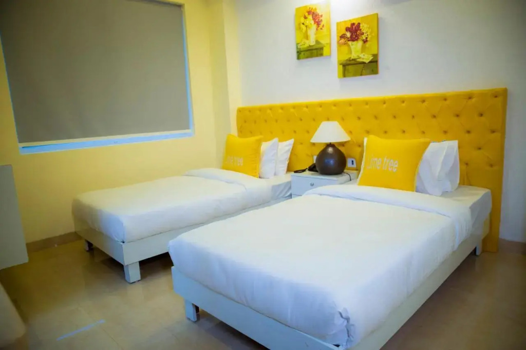 Lime Tree Luxury Studio