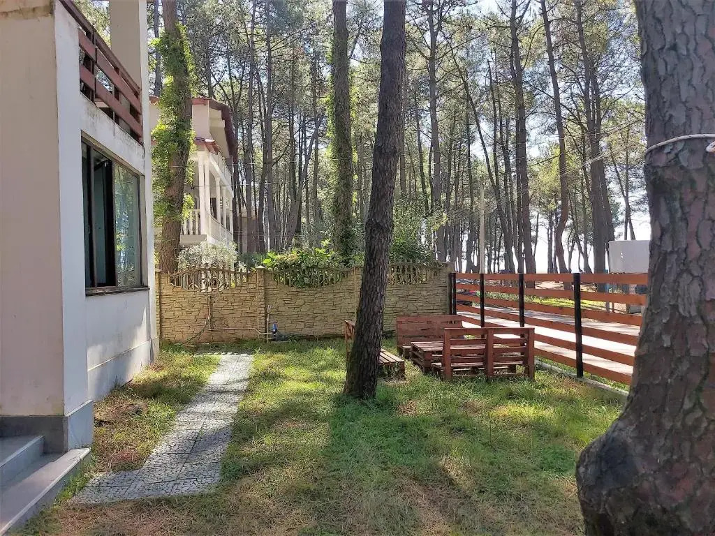 Beachfront 4-bedroom home in Kaprovani pine forest