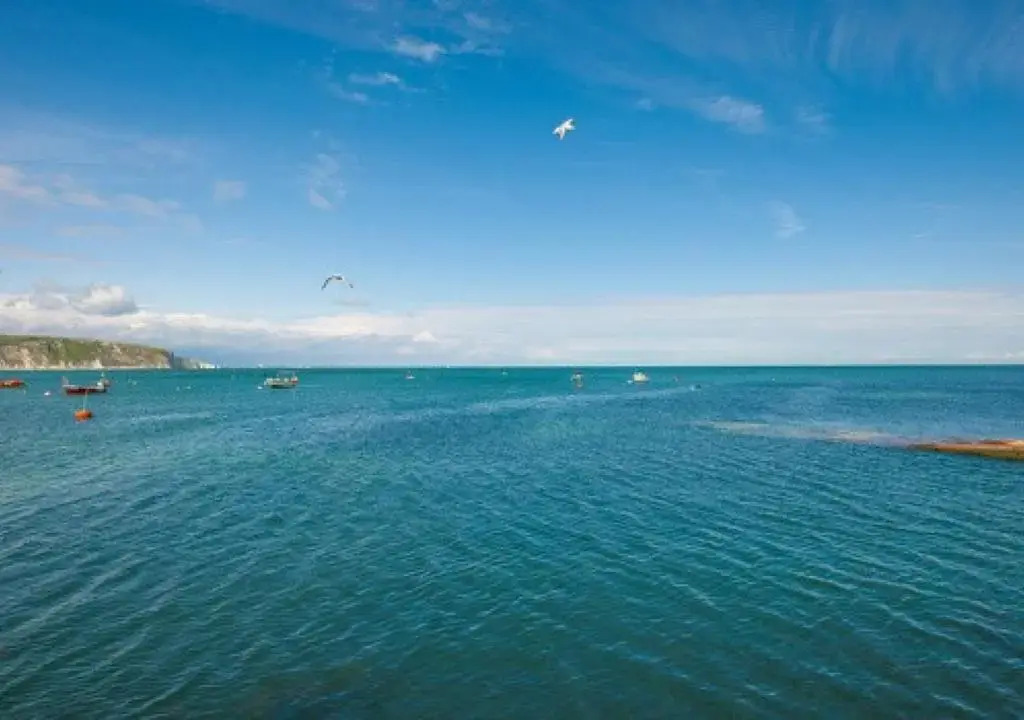 2 Bed in Swanage oc-wy460