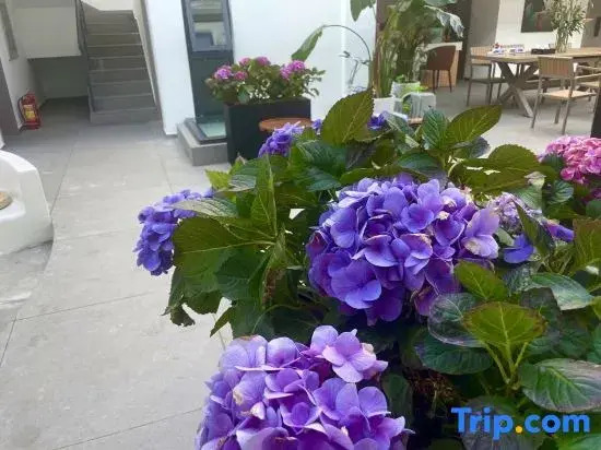 Minyue Xiaozhu Designer Garden B&B (Gongchen Tower Branch) in Weishan Ancient City