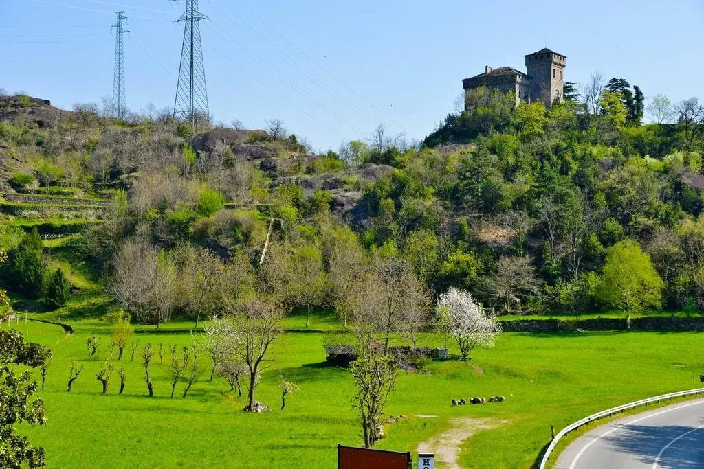 Campo Base