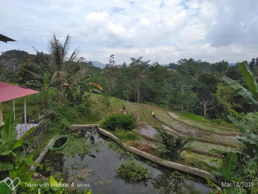 Rumah Sakinah